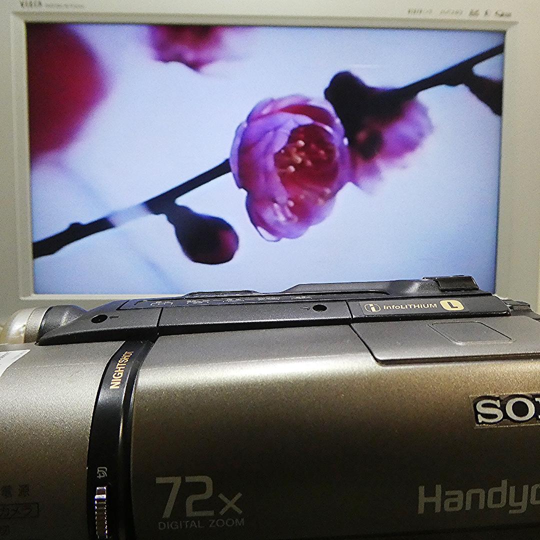 動作良好 ソニー CCD-TR290　 Video.Hi8デジタルビデオカメラ