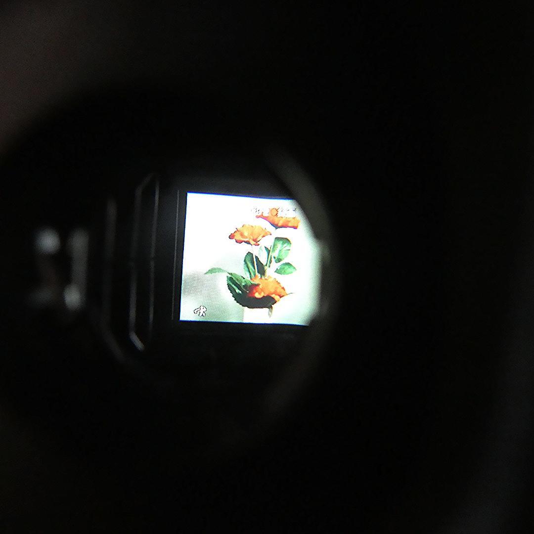 動作良好 ソニー CCD-TR290　 Video.Hi8デジタルビデオカメラ
