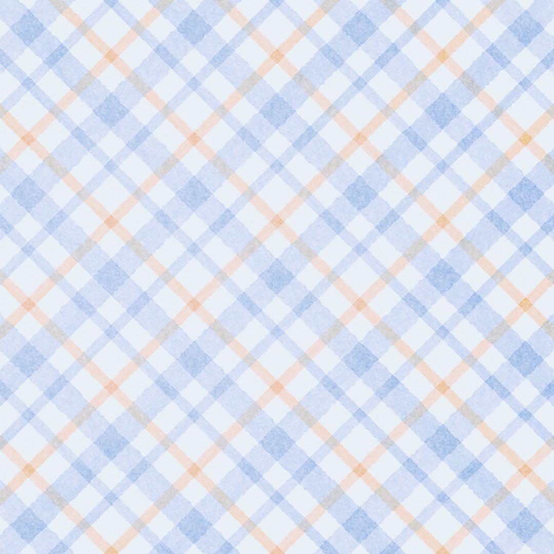手毬寿司様