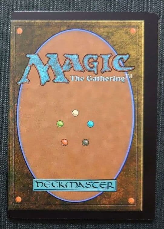 mtg 超絶稀少 ＦＦコラボ エラーカード 山 ２枚セット fin