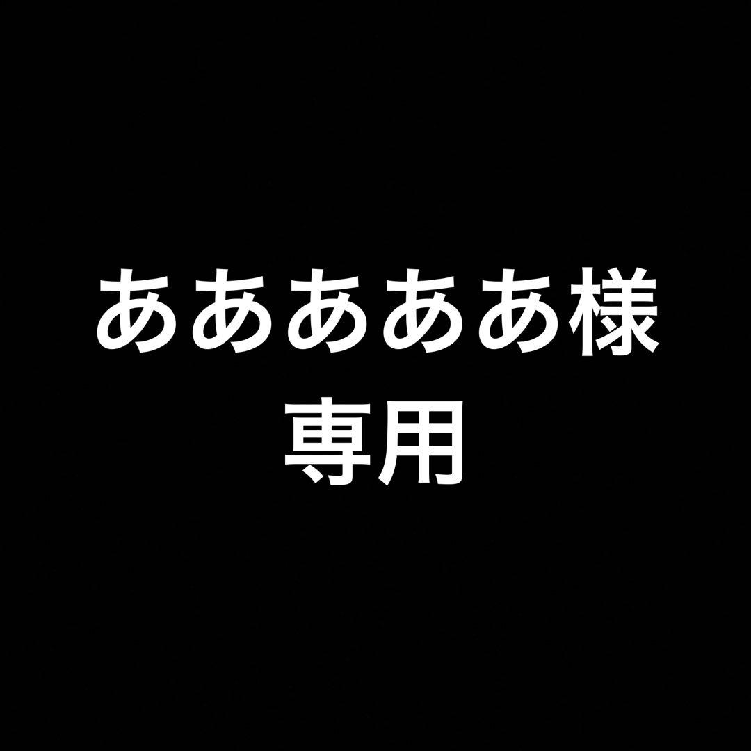 The Fallen & The Virtuous プリズマ アジア　2枚セット