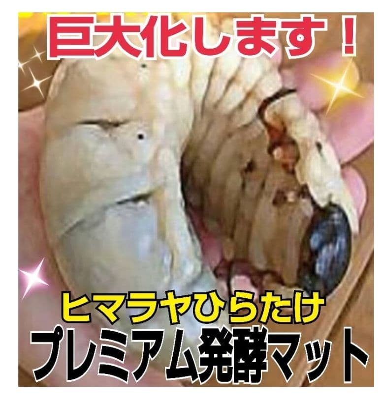 ヘラクレスがギネス級に！プレミアム3次発酵マット【50L】特殊アミノ酸強化配合！