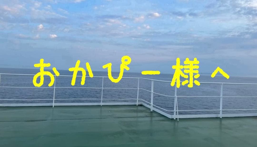 おかぴー様