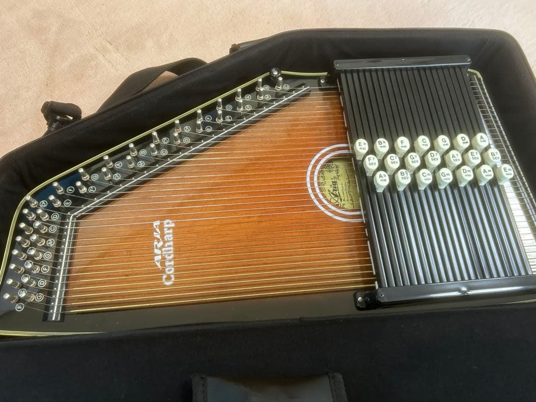 良品 Aria Cordiharp ハープ本体　ケース付き