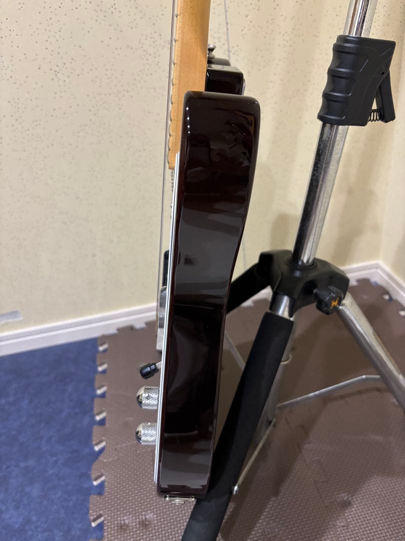 FGNフジゲンテレキャスターシンライン