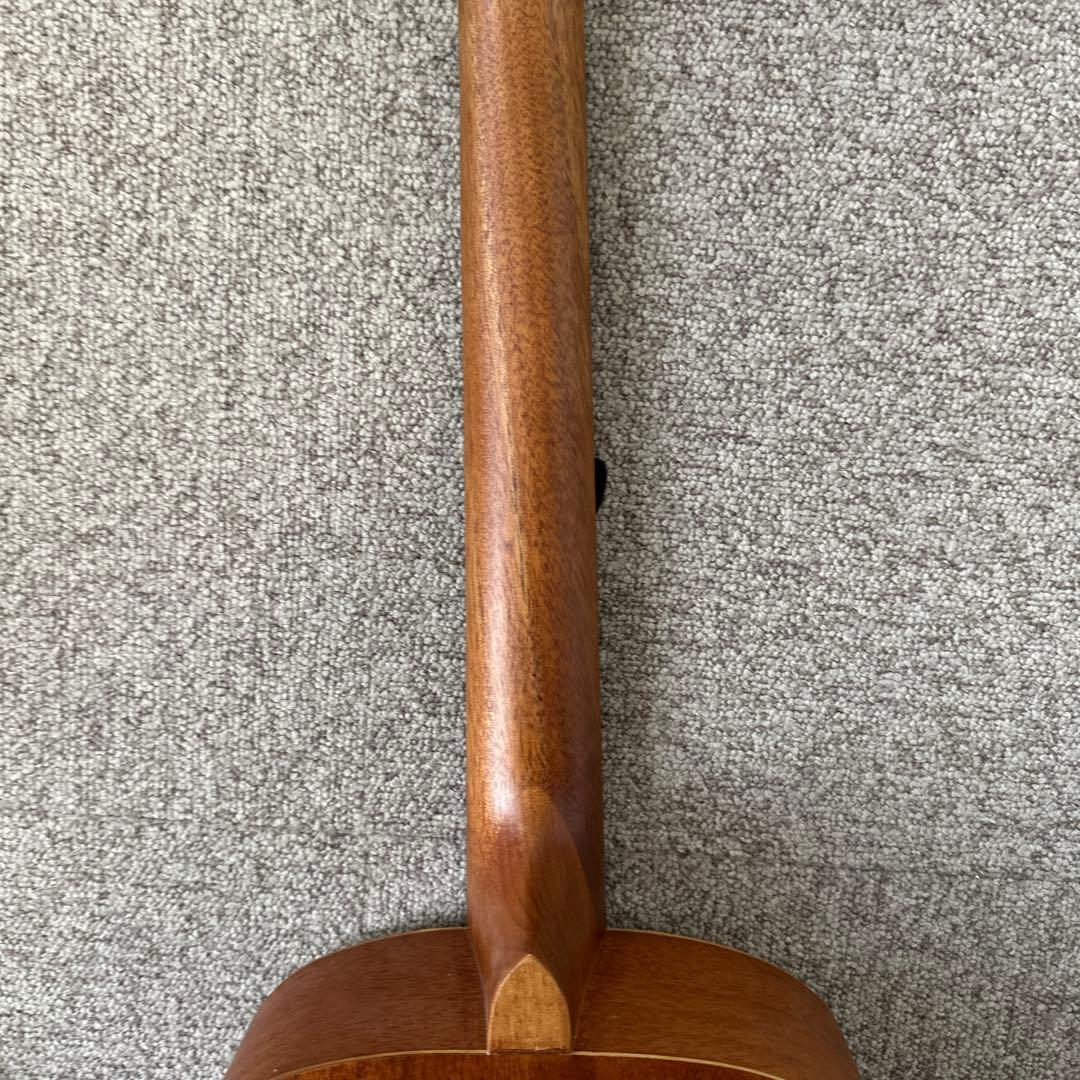 Pleytech ミニアコースティックギター