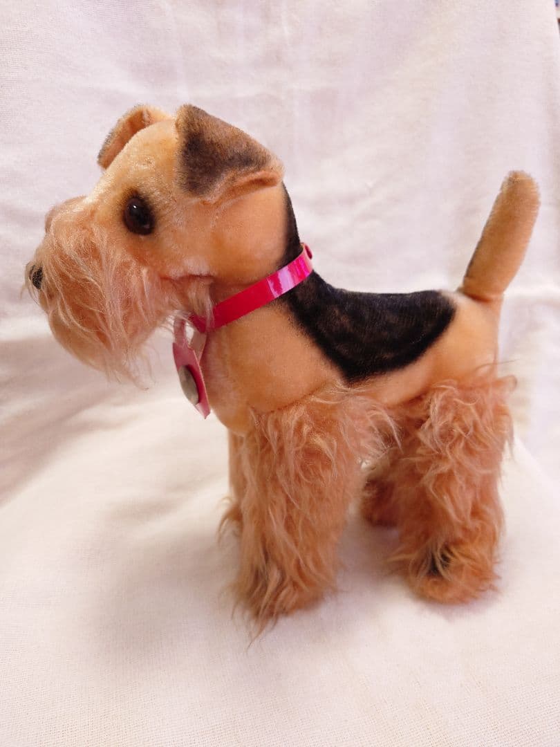 【希少品！】ふしぎ犬トントン★エアデールテリアぬいぐるみ