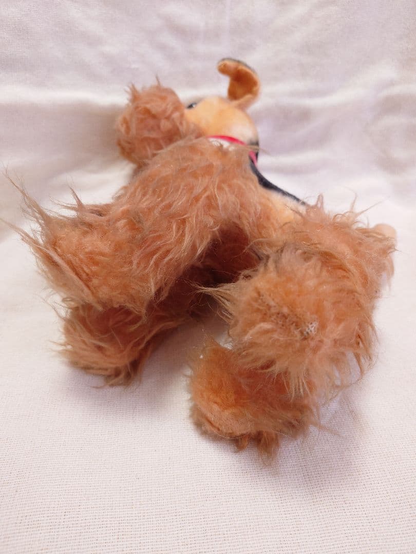 【希少品！】ふしぎ犬トントン★エアデールテリアぬいぐるみ