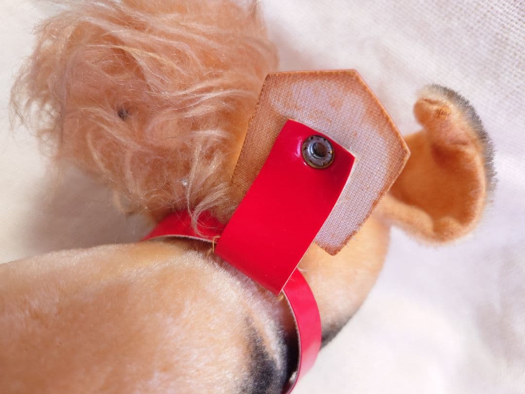 【希少品！】ふしぎ犬トントン★エアデールテリアぬいぐるみ