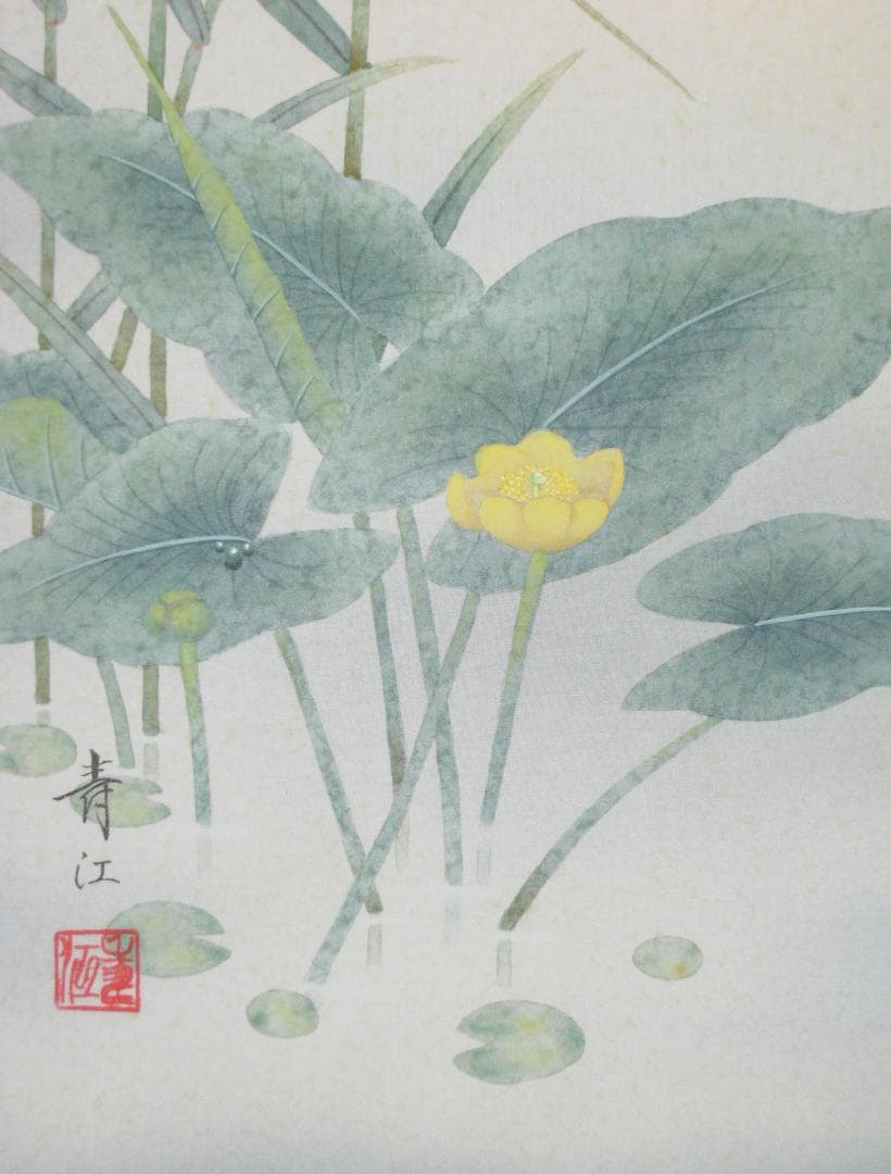 こ*り様 【真筆】掛け軸 掛軸　翡翠(かわせみ)◆柳沢寿江　太巻仕様・共箱・タト