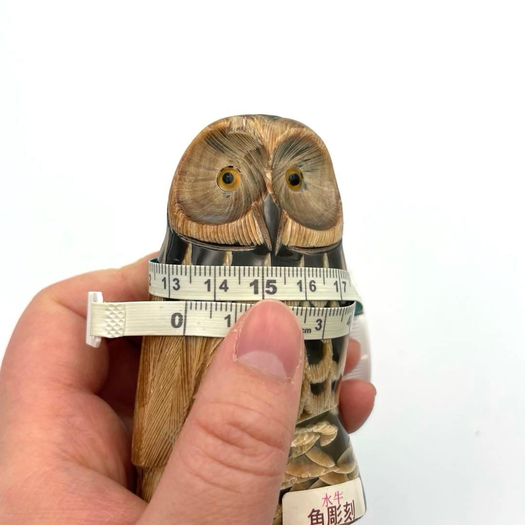 フクロウの水牛角彫刻置物