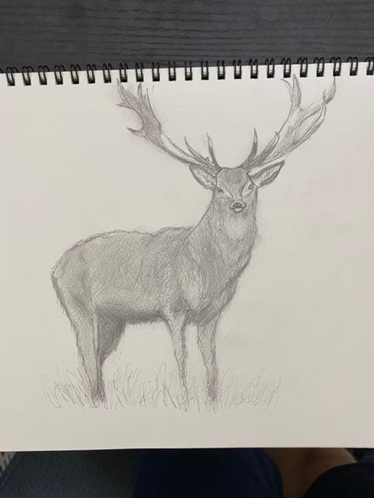 鹿の絵