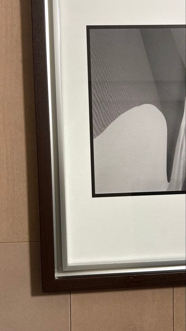 藤田一咲　『アース』　アートデコ　芸術写真　美術