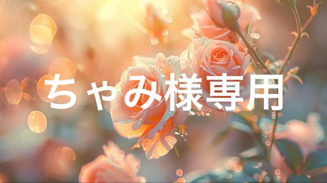ちゃみ
