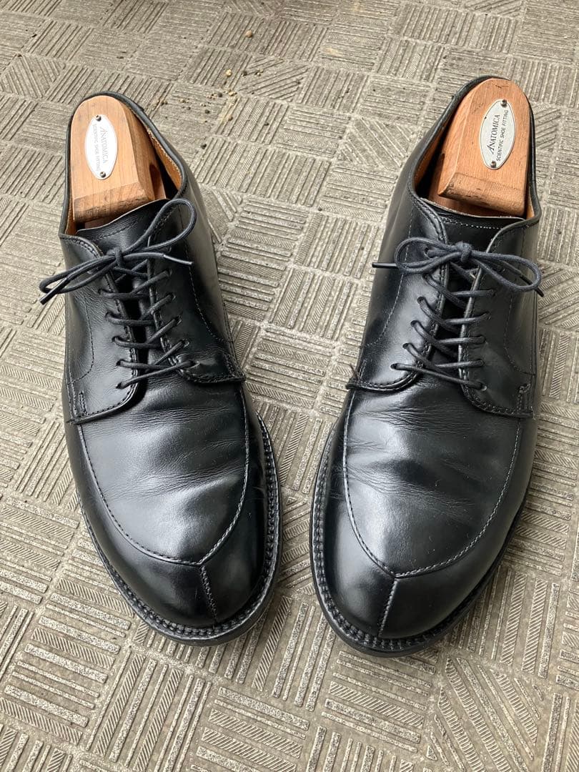 ALDEN 8.5E モディファイドラスト　Anatomica別注