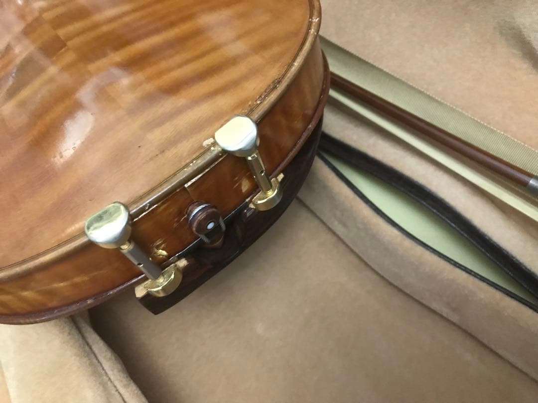 弦楽器 MASAKICCHI SUZUKI NO.5