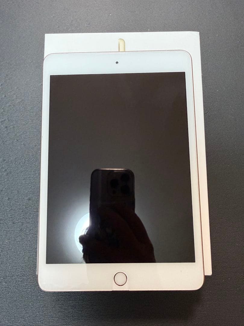 Apple iPad Mini ゴールド 7.9インチ　第五世代　セルラーモデル