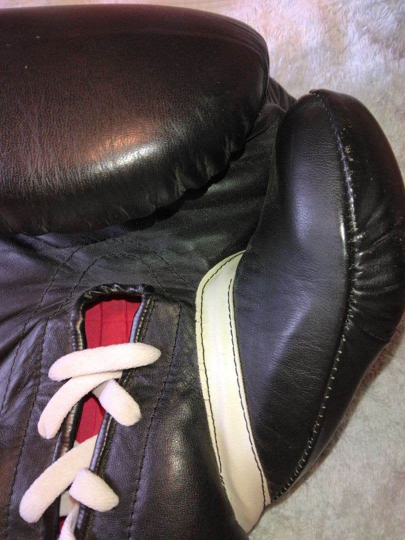 カサノバ、レイジェス　ボクシンググローブ