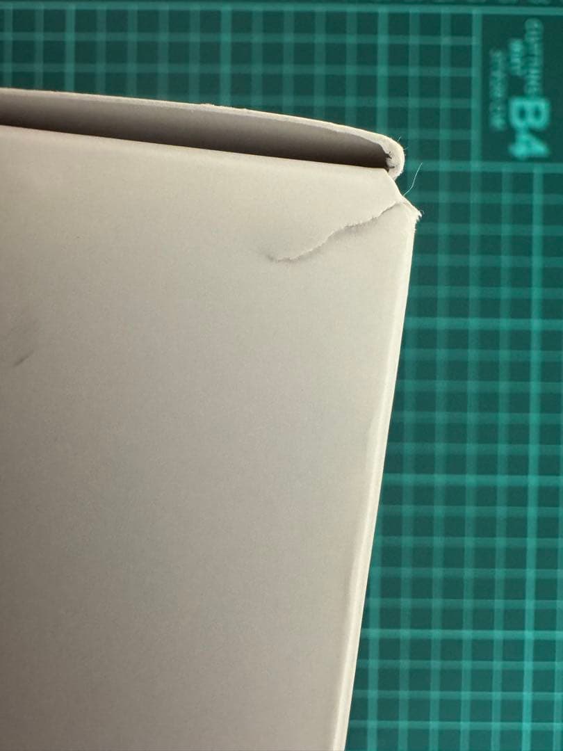 n*i様 REON POCKET5 レオンポケット5 ソニー