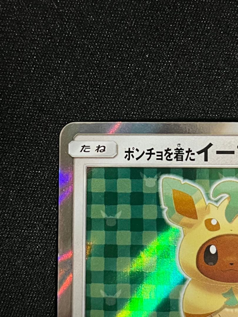 ポンチョを着たイーブイ リーフィア