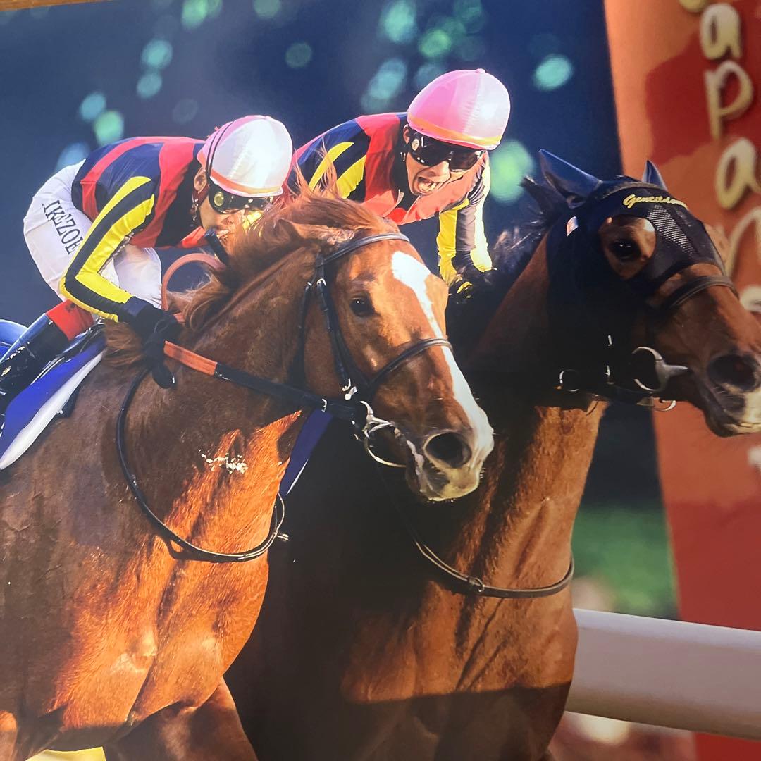 ジェンティルドンナ　オルフェーヴル　2012年ジャパンカップ　A1ポスター　競馬