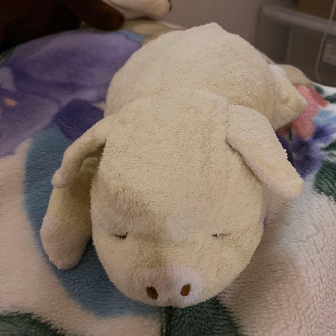ぶた