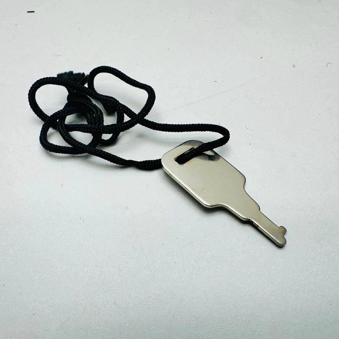 【希少】　【美品】　SUZUKI バイオリン　NO1100