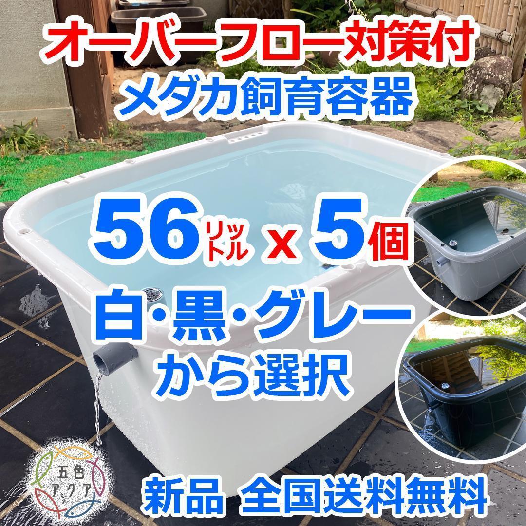 【新仕様】メダカ飼育ケース 56㍑x5個 白黒灰選択可 オーバーフロー加工済