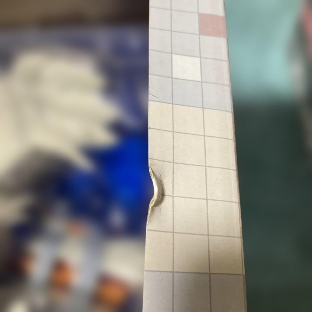 1番くじレシラム ゼクロム フィギュアセット 新品未開封