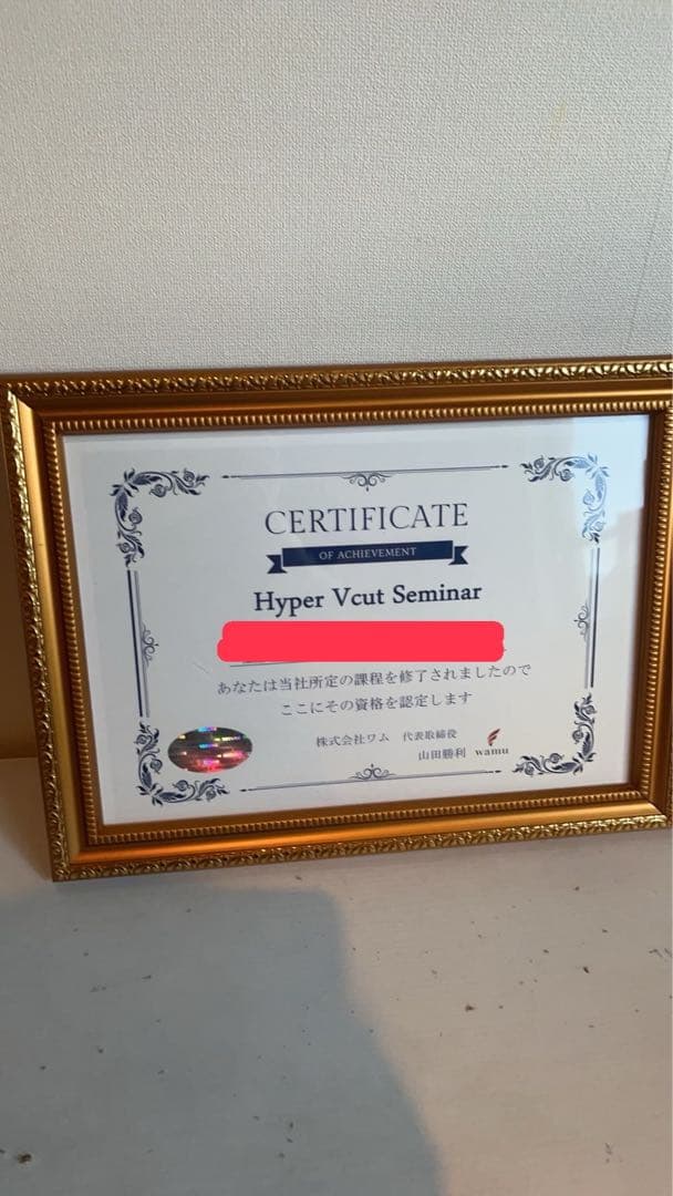 WAMUワム正規品ハイパーナイフ中古メンテナンス済み 認定書 証明書あり