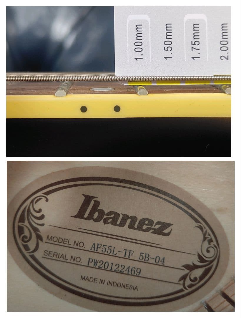 Ibanez Artcore AF55L-TF Hollow-Body レフティ