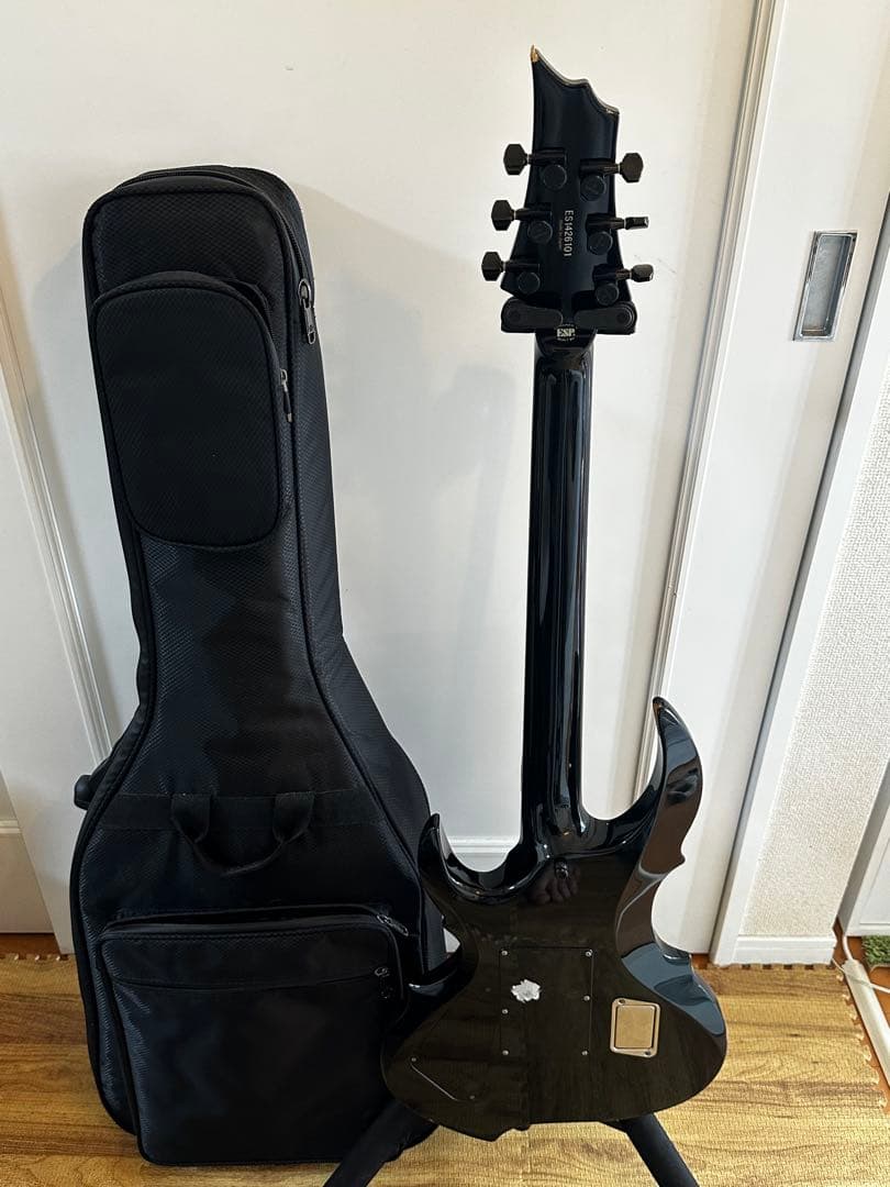 ギター E-ii FRX