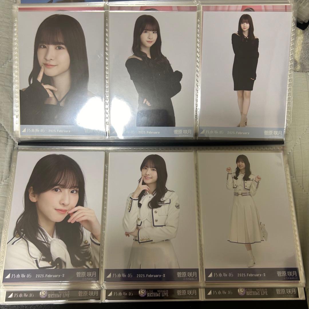 乃木坂46 菅原咲月 2025年月間ランダム 生写真 コンプ 19種 まとめ売り