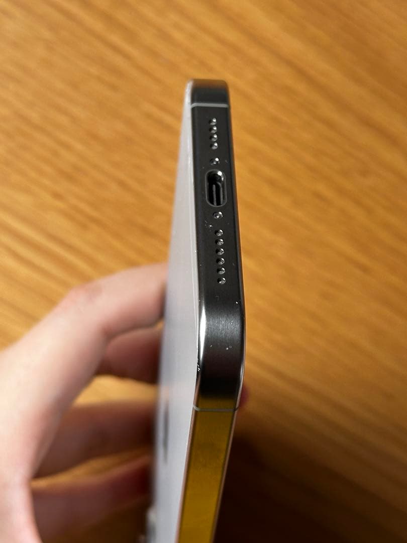 [山口さん専用]Apple iPhone 15 Pro Max 256GB 本体