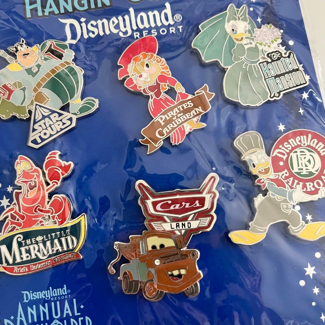 【レア】　ディズニーランドリゾート　ピンバッジ　年パス所有者限定
