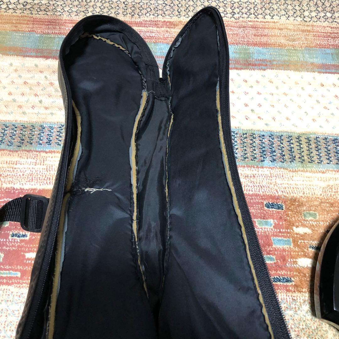 ギター FERNANDES MG-70X