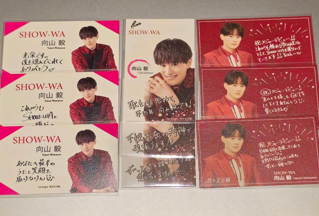SHOW-WA 向山毅 名刺コンプリートセット