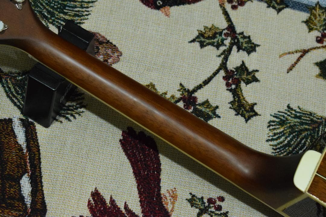 Morris MR-451BS エレアコ ケース付