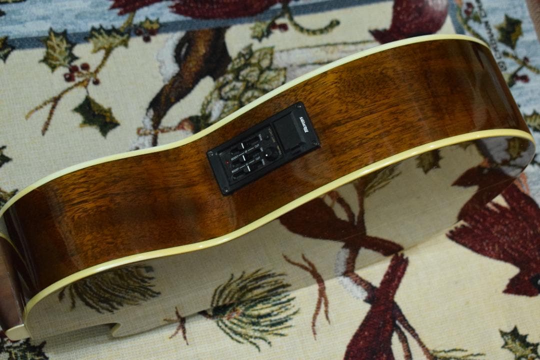 Morris MR-451BS エレアコ ケース付