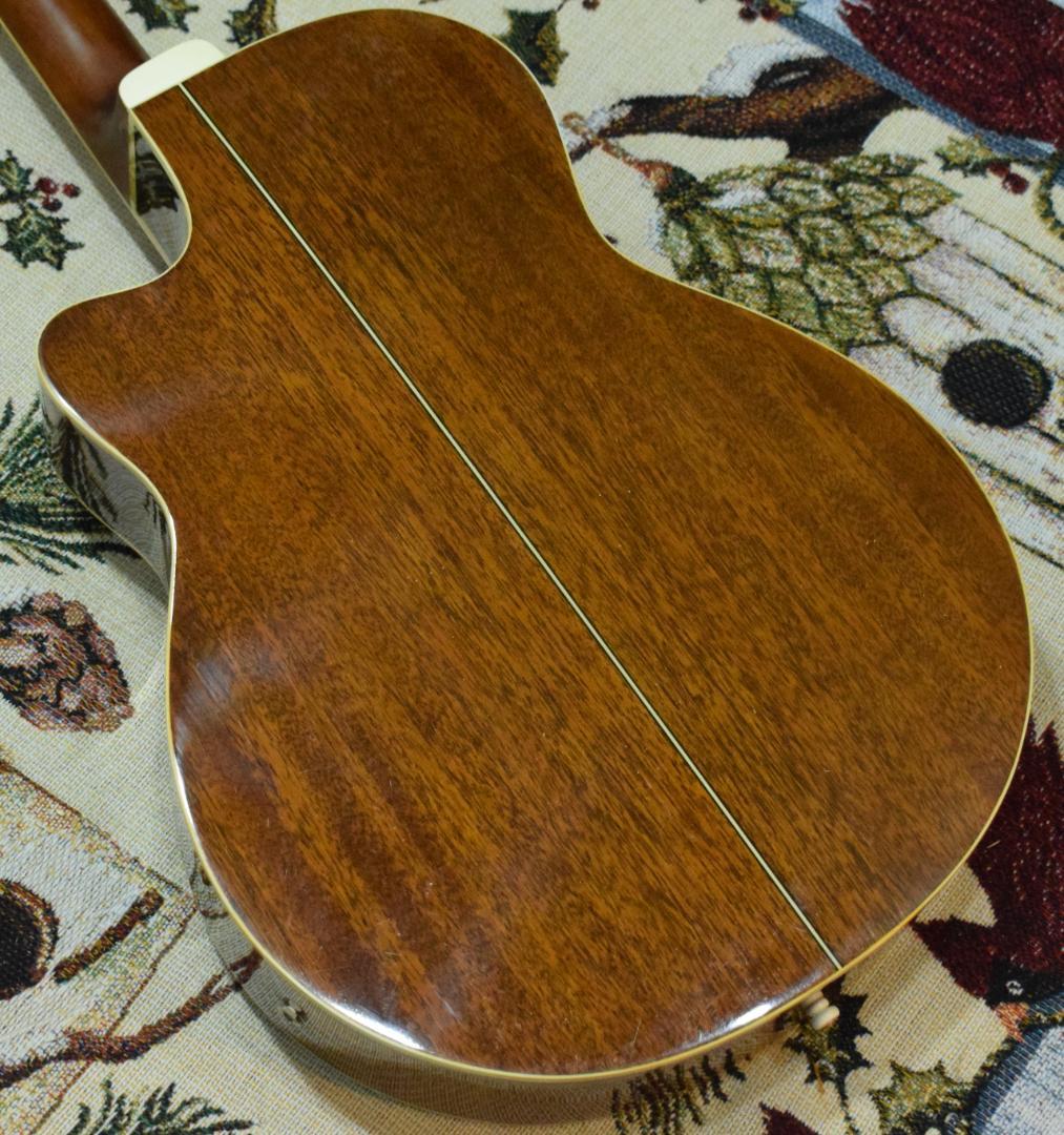 Morris MR-451BS エレアコ ケース付