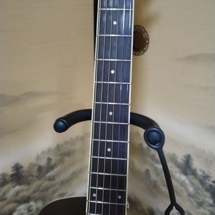 アコースティックギター 黒 ブラック　カスタム　Tay○or パールシェル製