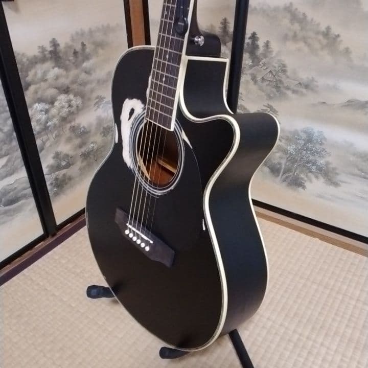 アコースティックギター 黒 ブラック　カスタム　Tay○or パールシェル製