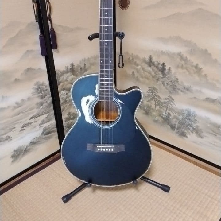 アコースティックギター 黒 ブラック　カスタム　Tay○or パールシェル製