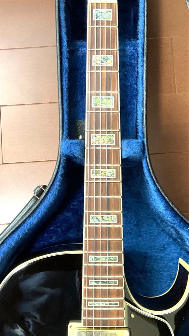Ibanez AK95-DVS-12-02 フルアコギター