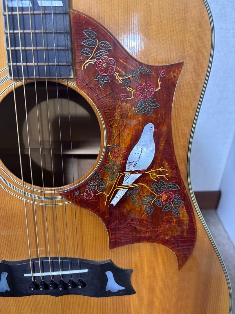 Morris MG-80オール単板 ジャパンビンテージ