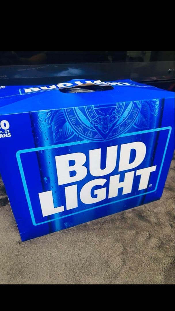 BUD LIGHT 355ml×30缶 ラスイチ