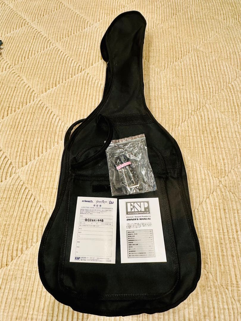 【送料込み】レスポールジュニアタイプPelham Blue ぼっちざろっく!