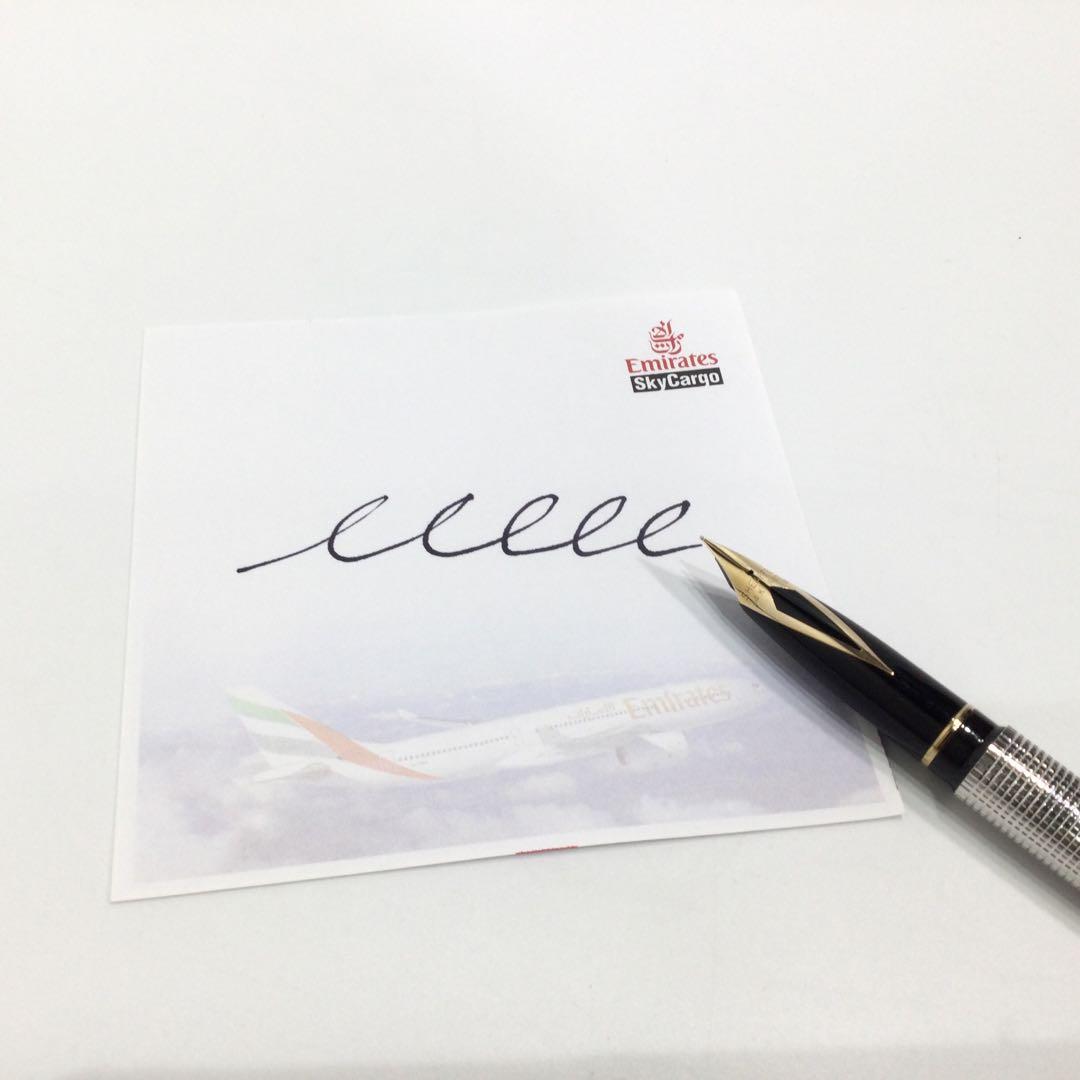 シェーファー タルガ 万年筆 1010X シルバー ニブ14K 585 筆記OK