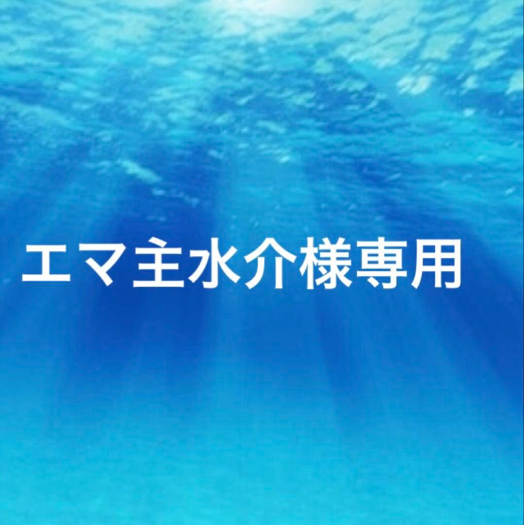 エマ主水介