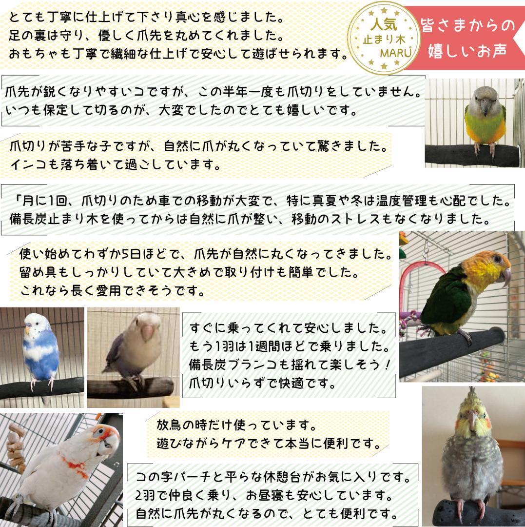 止まり木 TRX